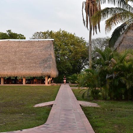 Savanna Orinoquia Lodge Orocue Luaran gambar